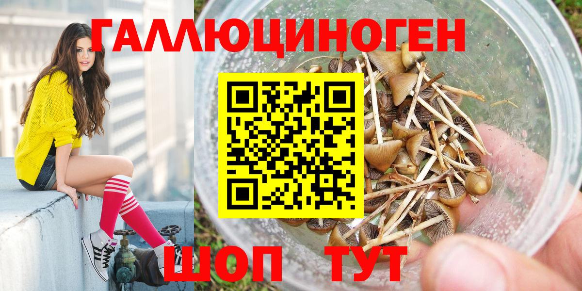 Галлюциногенные грибы Psilocybine cubensis Южноуральск