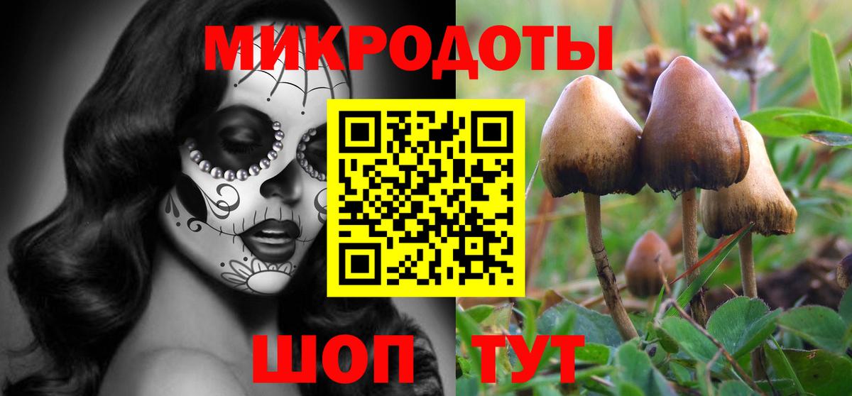 Галлюциногенные грибы GOLDEN TEACHER  Галлюциногенные грибы MAGIC MUSHROOMS  Вход с VPN  Южноуральск 